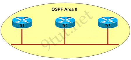 OSPFneighbor