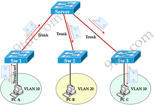 VTP_Pruning_example.jpg